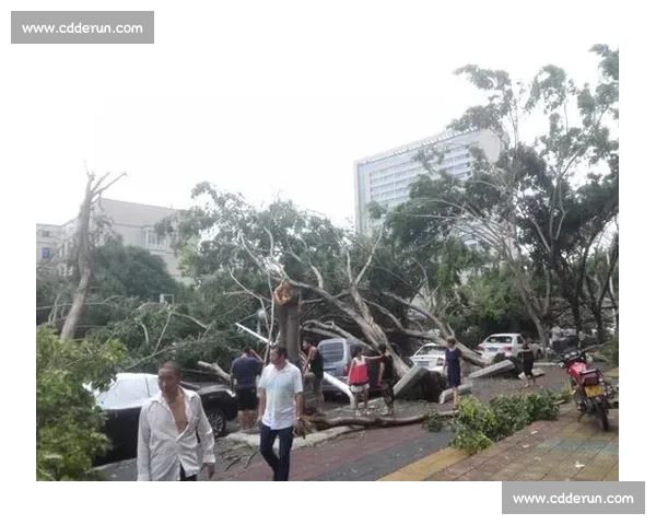 台风追至深圳:思念跨越千里的告白 台风追至深圳:思念跨越千里的告白